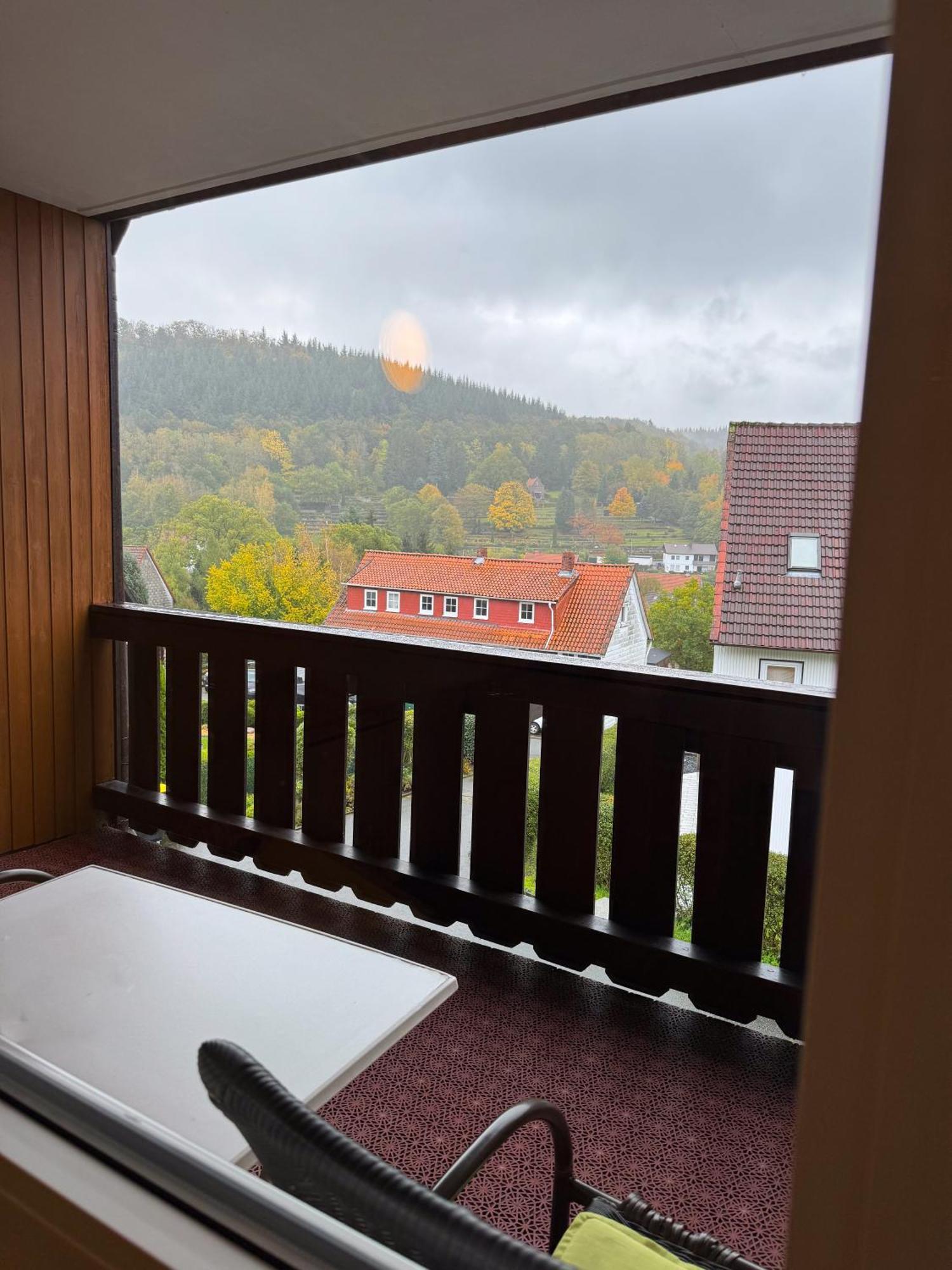 Harzhotel Gruenett Langelsheim Ngoại thất bức ảnh